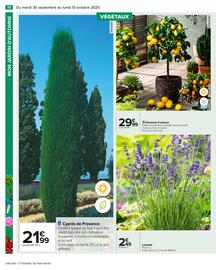 Catalogue Carrefour page 12