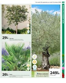 Catalogue Carrefour page 13