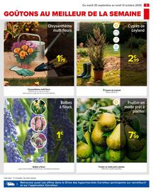 Catalogue Carrefour page 5