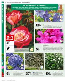 Catalogue Carrefour page 6