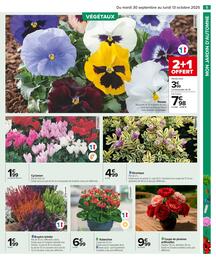 Catalogue Carrefour page 7