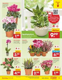 Netto Marken-Discount Prospekt woche 40 Seite 13