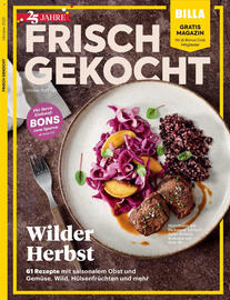 Billa Flugblatt Seite 1