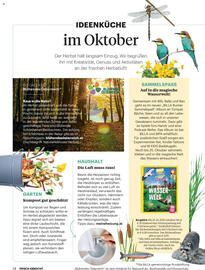 Billa Flugblatt Seite 12