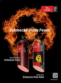 Billa Flugblatt Seite 122