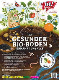 Billa Flugblatt Seite 156
