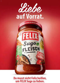 Billa Flugblatt Seite 175
