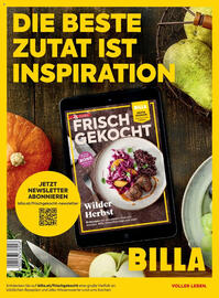 Billa Flugblatt Seite 177