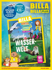 Billa Flugblatt Seite 18