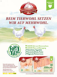 Billa Flugblatt Seite 40