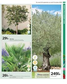 Catalogue Carrefour Drive page 13