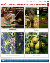 Catalogue Carrefour Drive page 5