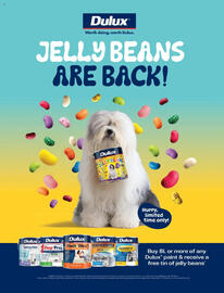 Bunnings catalogue Page 2