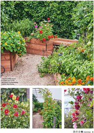 Bunnings catalogue Page 23