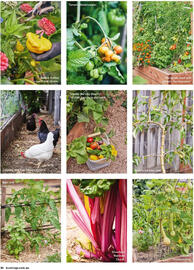 Bunnings catalogue Page 24