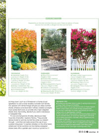 Bunnings catalogue Page 37