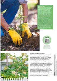 Bunnings catalogue Page 38
