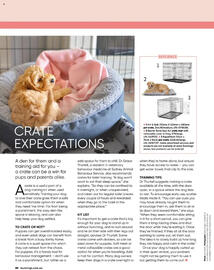 Bunnings catalogue Page 80
