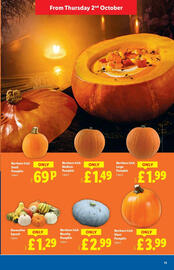 Lidl leaflet week 40 Page 13