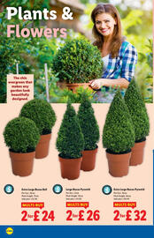 Lidl leaflet week 40 Page 22