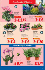 Lidl leaflet week 40 Page 23