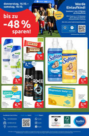 Budni Prospekt woche 42 Seite 8