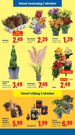 Lidl folder Pagina 21