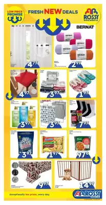 Rossy flyer (valid until 1-10)