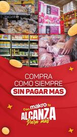 Catálogo Makro semana 39 Página 9