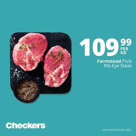 Checkers catalogue Page 3