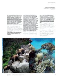 Kuoni brochure Page 39