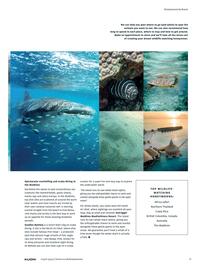 Kuoni brochure Page 41