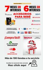 Folleto DelSol Página 12