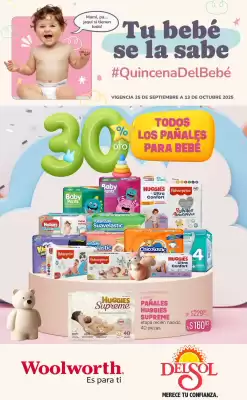 Folleto DelSol (válido hasta 13-10)