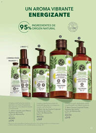 Catálogo Yves Rocher Página 13