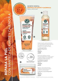 Catálogo Yves Rocher Página 26