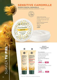 Catálogo Yves Rocher Página 50