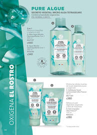 Catálogo Yves Rocher Página 54