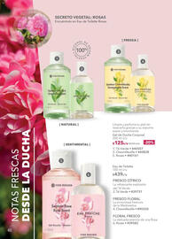 Catálogo Yves Rocher Página 84