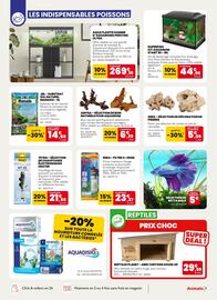 Catalogue Animalis page 7
