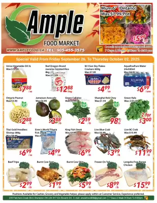 Ample Food Market flyer