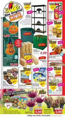 Wiglo Wunderland Prospekt (gültig bis 4-10)