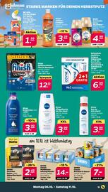 NETTO Prospekt woche 41 Seite 15