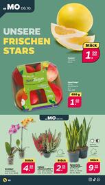 NETTO Prospekt woche 41 Seite 2