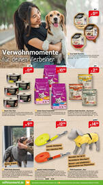 Raiffeisen Markt Prospekt Seite 2