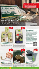 Raiffeisen Markt Prospekt Seite 4