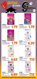 Volantino Famila Superstore Pagina 12