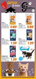 Volantino Famila Superstore Pagina 15
