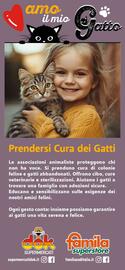 Volantino Famila Superstore Pagina 17