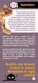 Volantino Famila Superstore Pagina 4